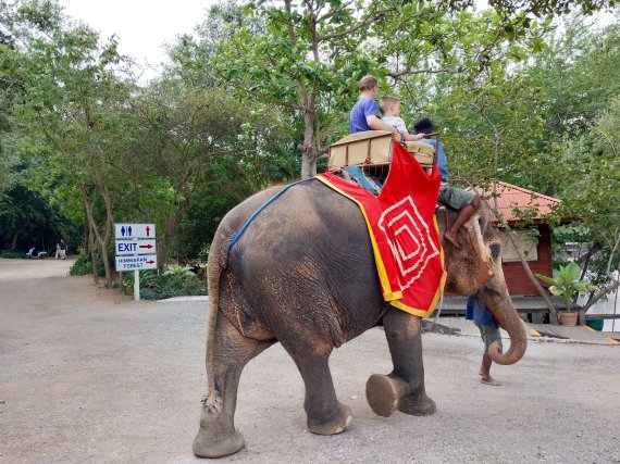파타야 진리의 성전 안에서 관광객이 코끼리 타기 체험을 하고 있다. &#x2F; 사진&#x3D;이환주 기자 