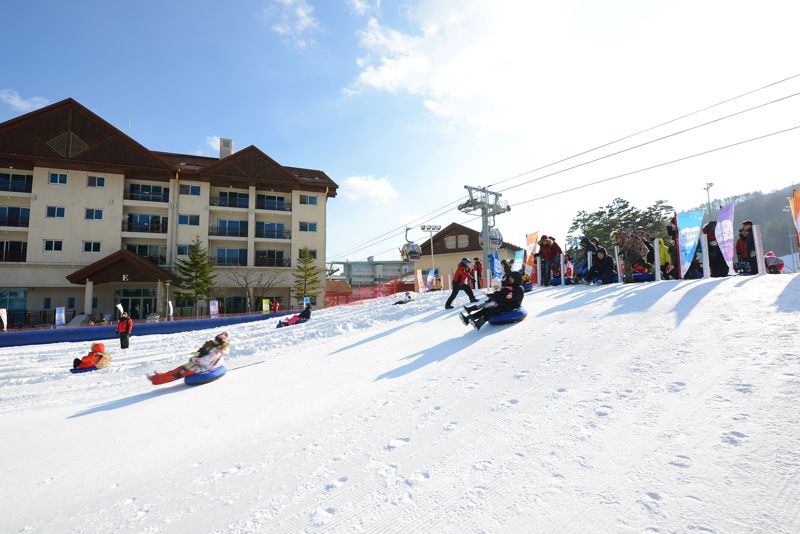 하이원리조트 눈썰매장 전경. <span id='_stock_code_035250' data-stockcode='035250'>강원랜드</span> 제공