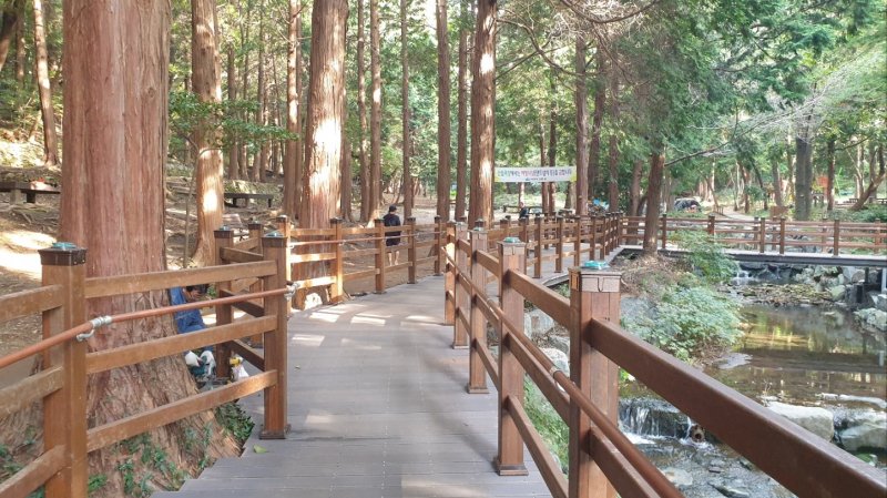 미평 산림욕장 데크길 *재판매 및 DB 금지 /사진=뉴시스