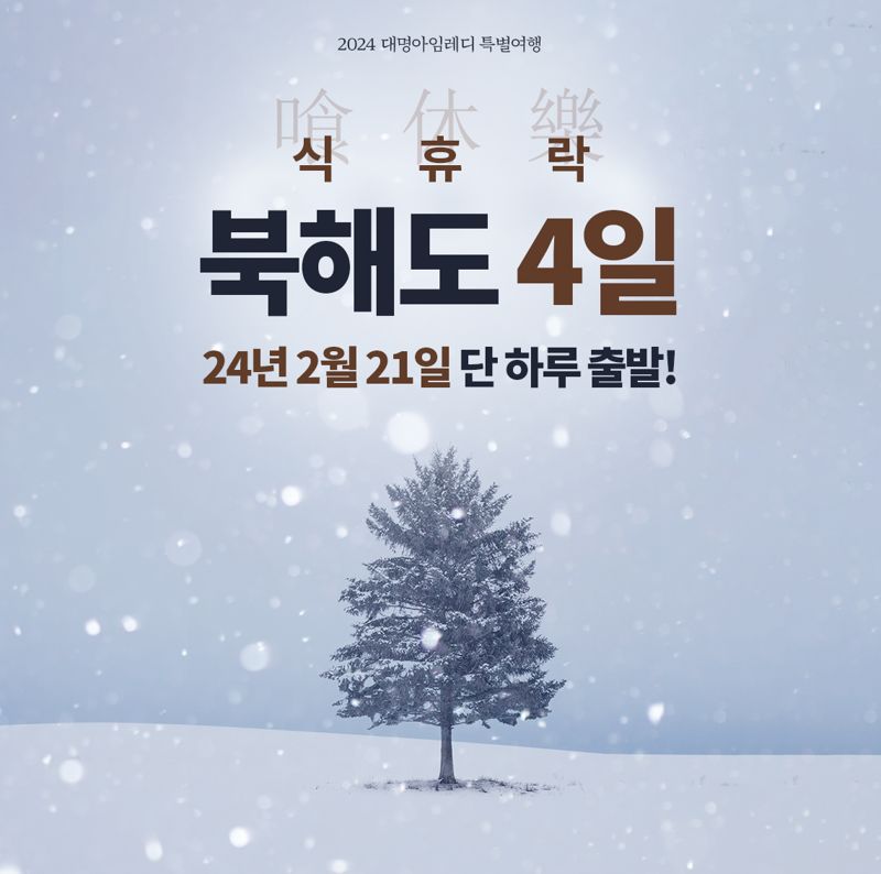 대명아임레디, '북해도 풀패키지' 출시. 대명소노그룹 제공