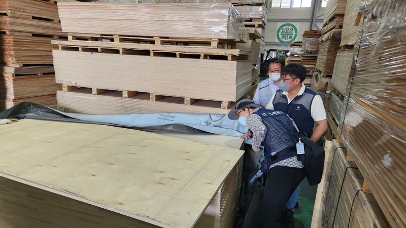 산림청 합동단속반이 한 합판 수입업체에서 측면 표시사항 등을 확인하고 있다.