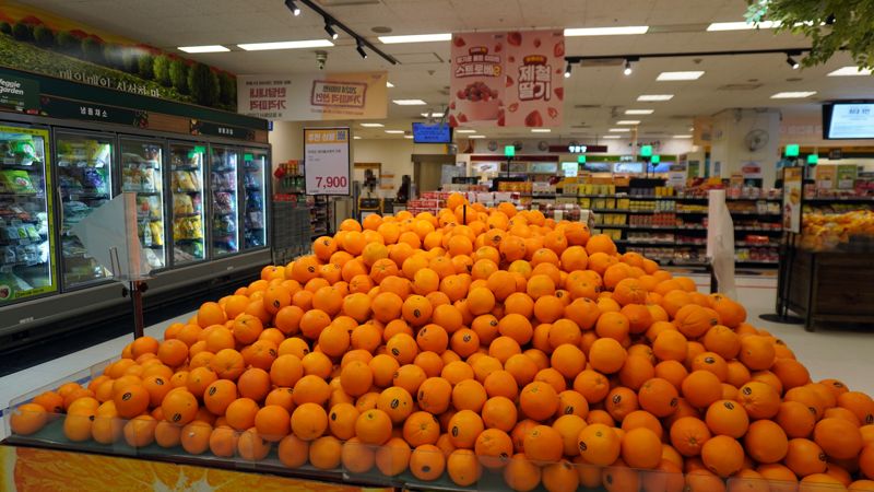 이마트가 14일 망고, 오렌지 등 과일 할인 행사를 통해 과일 구매 부담 완화에 나선다. 이마트 제공