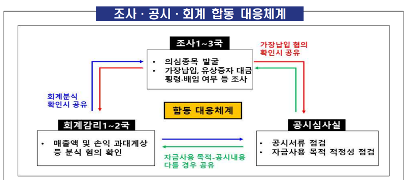 금융감독원의 조사-공시-회계 합동 대응체계 현황. 금감원 제공