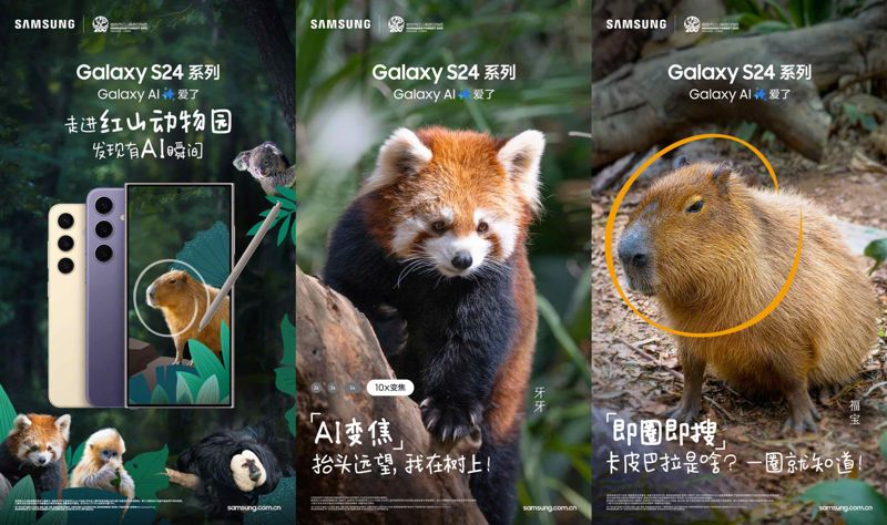 삼성전자가 홍산삼림동물원에서 지내는 카피바라 푸바오(오른쪽)를 활용해 만든 &#39;갤럭시 S24&#39; 시리즈 광고. 삼성전자 제공 