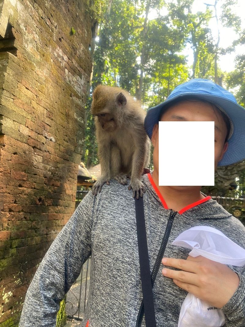 귀여운 아기 원숭이와 살찐 원숭이. 