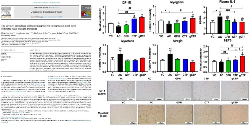 <span id='_stock_code_092040' data-stockcode='092040'>아미코젠</span>, ‘저분자콜라겐펩타이드 AG’ 근력 개선 효