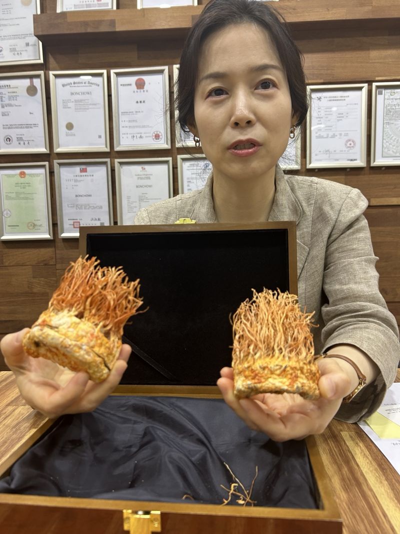 김효정 바이오아라 대표가 구로구 본사에서 동충하초에 대해 설명하고 있다. 사진&#x3D;강재웅 기자