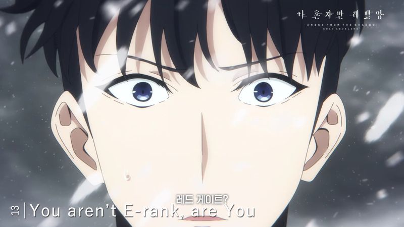 TVA '나 혼자만 레벨업' 스페셜 극장판(<span id='_stock_code_310200' data-stockcode='310200'>애니플러스</span> 제공)