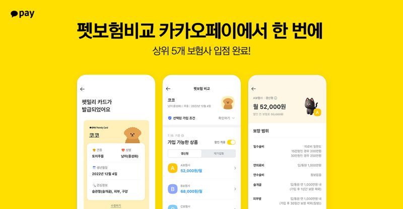카카오페이 제공