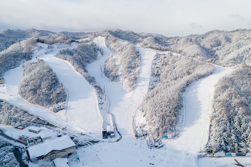 흰눈이 소복이 쌓인 엘리시안강촌 스키장 / GS건설 제공