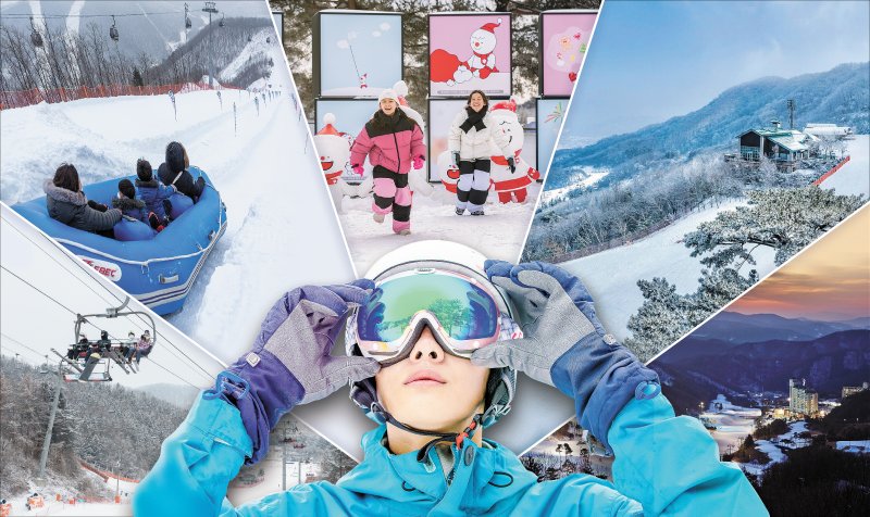 왼쪽부터 시계방향으로 엘리시안강촌 스키장, 하이원 스키장 겨울놀이터 '스노우월드', 비발디파크 스키장 '스노위랜드', 곤지암 스키장 스키 슬로프, 오크밸리 스키장 야경. 