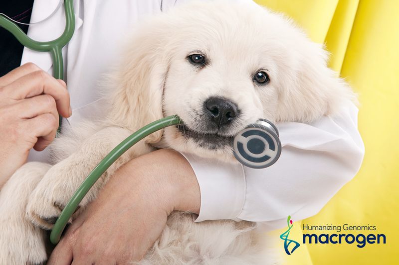 <span id='_stock_code_038290' data-stockcode='038290'>마크로젠</span> 제공