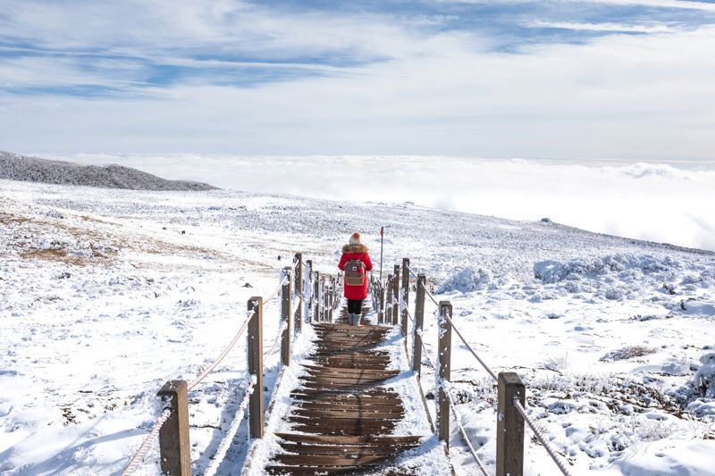 제주도 한라산 윗세오름 / 모두투어 제공