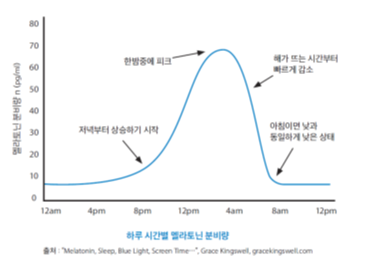 [안철우 교수의 호르몬 백과사전] 생명의 조율사 멜라