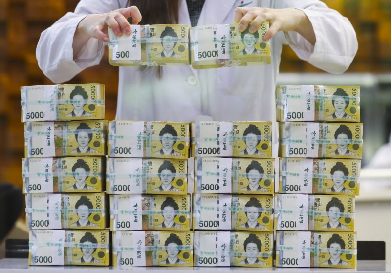 뉴시스