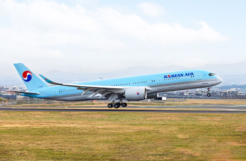 <span id='_stock_code_003490' data-stockcode='003490'>대한항공</span> A350 여객기. 대한항공 제공