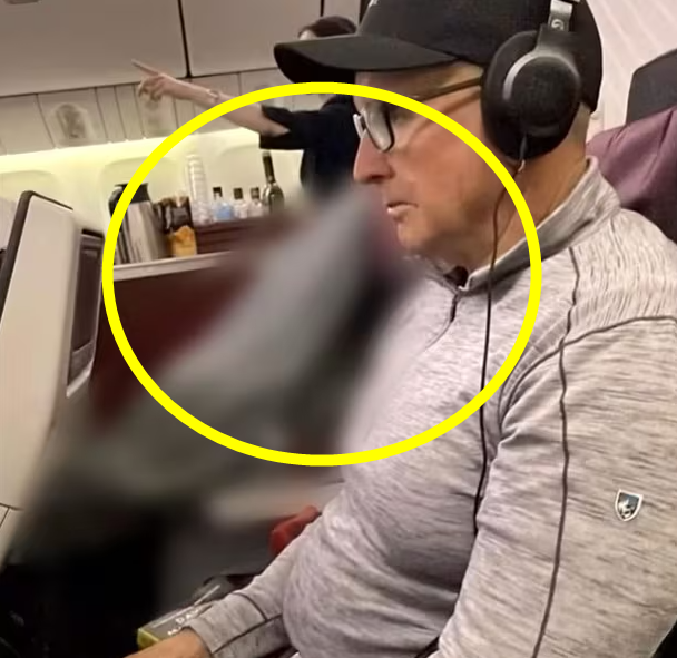 [사진 = 9NOW 보도 갈무리]