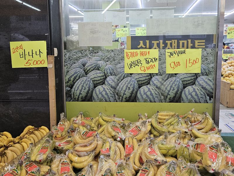 식자재 마트에 진열된 과일들. 사진=이정화 기자 