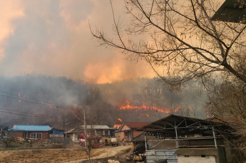  경북 의성군 산불 발생 사흘째인 24일 안평에서 발생한 산불이 안동시 길안면 백자리 한 야산으로 번지고 있다. 뉴시스