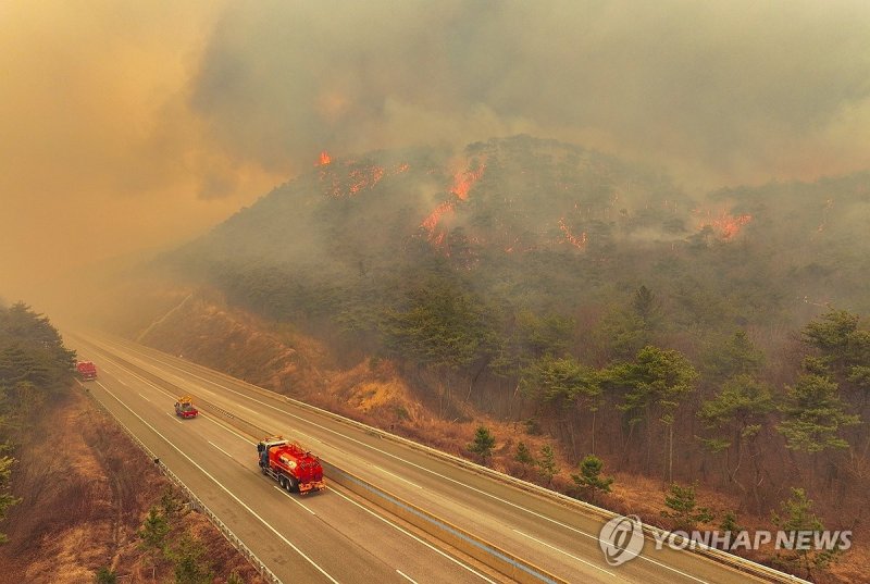 /사진=연합뉴스