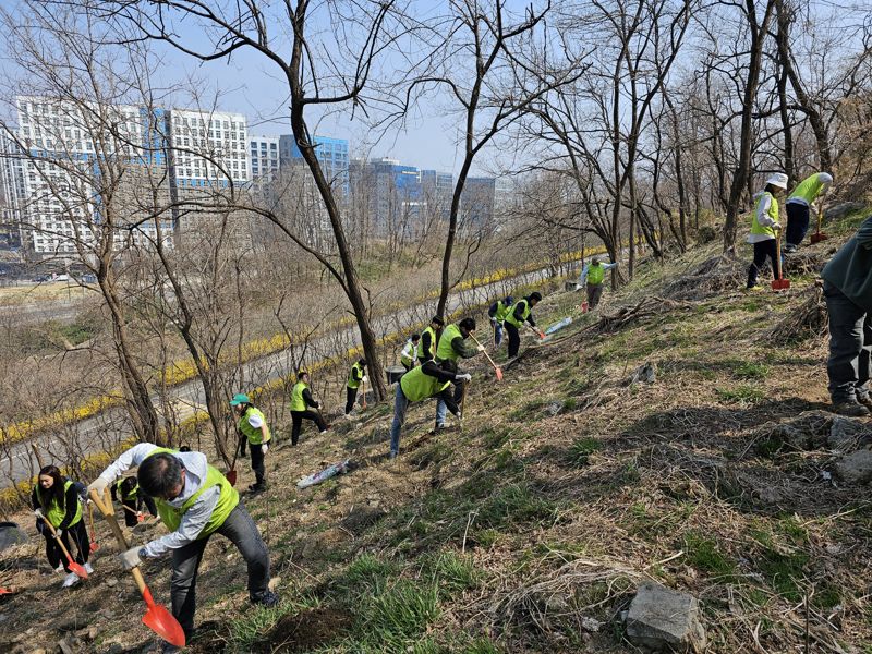 지난 4일 서울 마포 노을공원에서 진행된 노을공원 숲 조성 봉사활동에서 <span id='_stock_code_034300' data-stockcode='034300'>신세계건설</span> 임직원들이 나무를 심고 있다. 신세계건설 제공