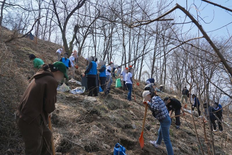 <span id='_stock_code_039290' data-stockcode='039290'>인포뱅크</span> 아이도키, 식목일 맞아 세븐틴 민규 이름으로