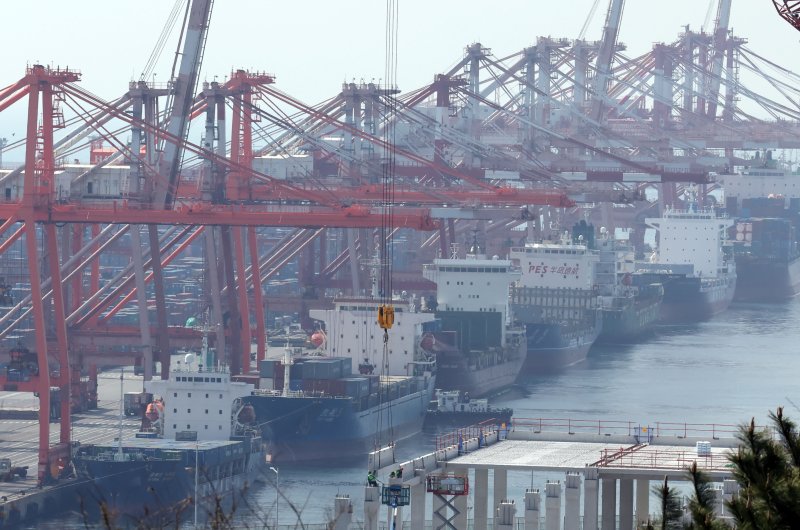 지난 9일 부산 남구 신선대부두에서 수출입 컨테이너 선적 및 하역작업이 진행되고 있다. 뉴시스