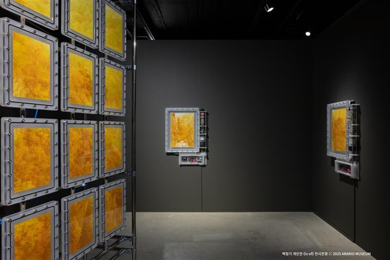 아라리오뮤지엄 백정기 작가 개인전 내부 전경. <span id='_stock_code_090350' data-stockcode='090350'>노루페인트</span> 제공
