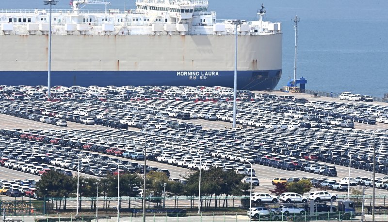 지난 29일 경기 평택항 자동차 전용부두에 선적을 기다리는 수출용 차량이 세워져 있다. 뉴시스