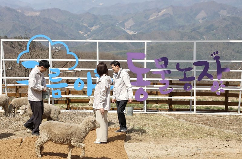 하이원 구름아래 동물농장. <span id='_stock_code_035250' data-stockcode='035250'>강원랜드</span> 제공