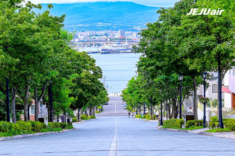 일본 하코다테. 제주항공 제공