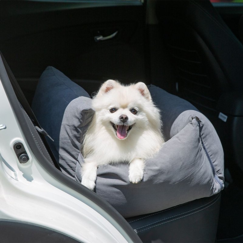 반려동물용 카시트 펫프렌즈 제공