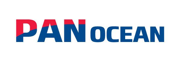 <span id='_stock_code_028670' data-stockcode='028670'>팬오션</span>, 2~3년 후 벌크선 업황 턴어라운드 기대-하