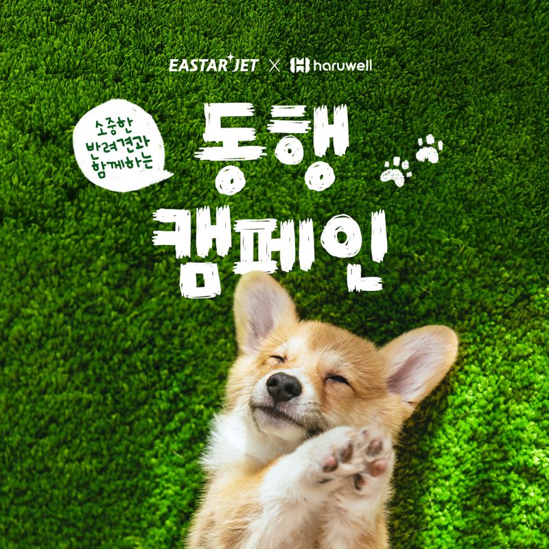 이스타항공 제공