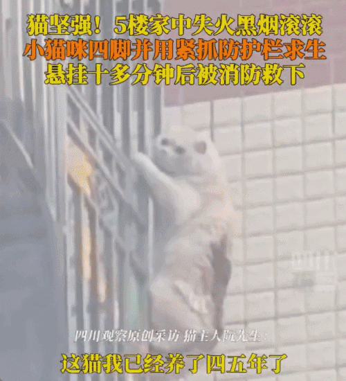 /사진=시나닷컴 갈무리