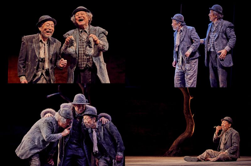 신구 박근형의 연극 '고도를 기다리며' 공연 장면. 파크컴퍼니 제공