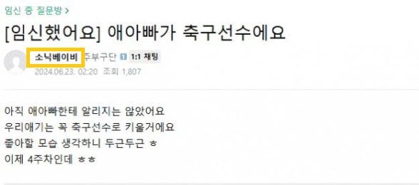손흥민을 협박한 혐의로 구속된 양모씨가 과거 쓴 글로 추정된다며 공유되고 있는 게시물. 출처=온라인 커뮤니티 갈무리