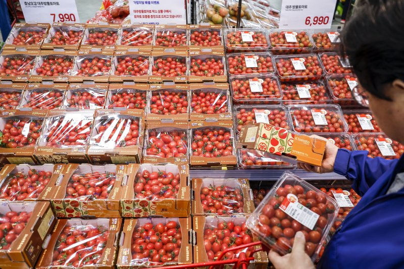 방울토마토를 들고 살피는 모습. (기사의 이해를 돕기 위한 자료사진)  뉴시스