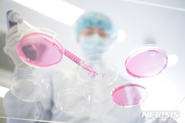 제약바이오 기업들이 희귀질환 치료제 연구에 나서고 있다. /사진=뉴시스