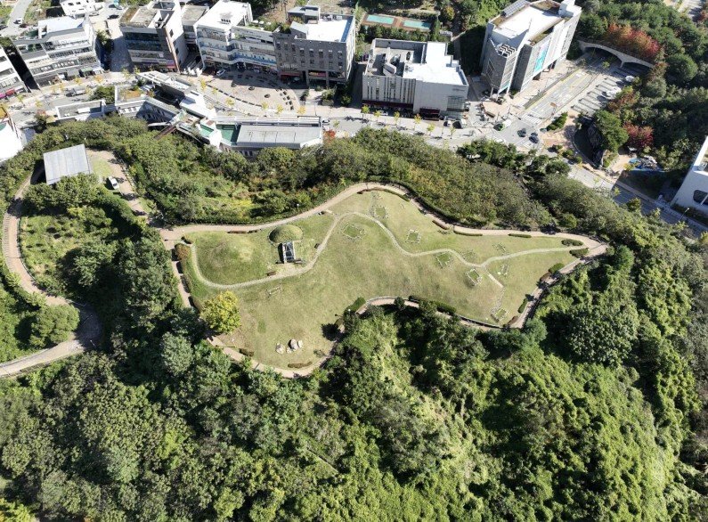  '세종 한솔동 고분군' 전경. 국가유산청 제공