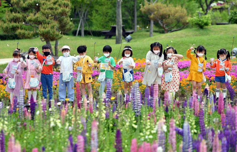 지역 이미지 개선 기여도가 높은 봄 축제로 평가받은 '함평나비대축제'. 사진=뉴시스