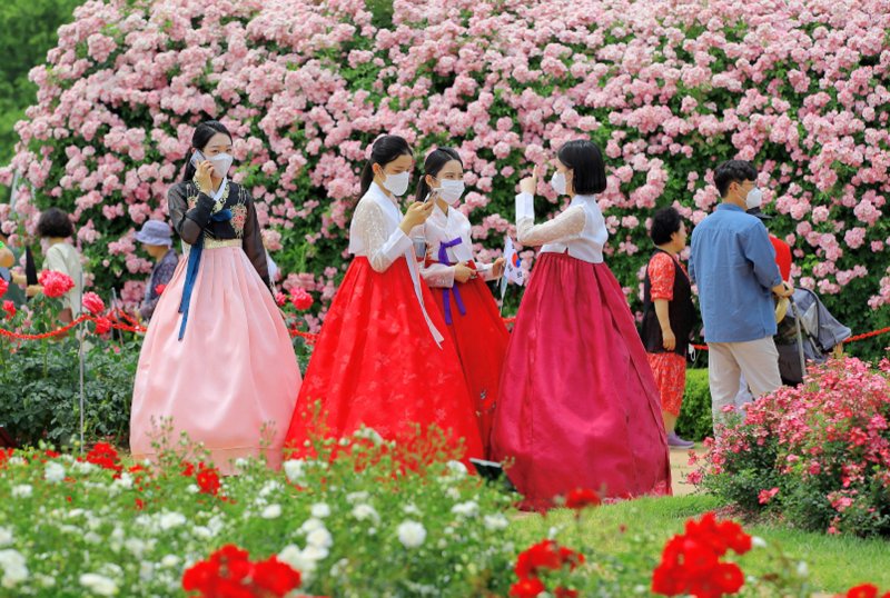 곡성세계장미축제. 사진=뉴시스