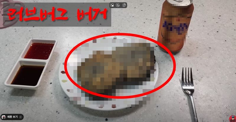 러브버그로 만들어진 햄버거. 사진은 모자이크 처리. 사진=유튜버 '이충근'