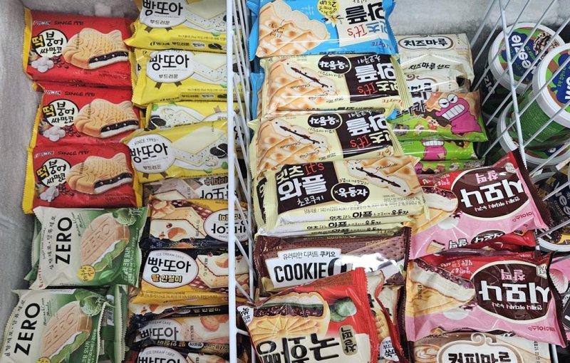자료사진.연합뉴스