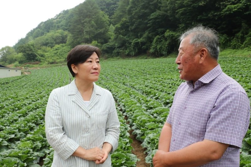 송미령 농식품부 장관이 6일 강원 평창군 여름배추 재배지와 출하조절시설을 방문해 생육 현황을 점검하고, 현장 관계자들과 대응 방안을 논의했다.[사진&#x3D;농식품부 제공]