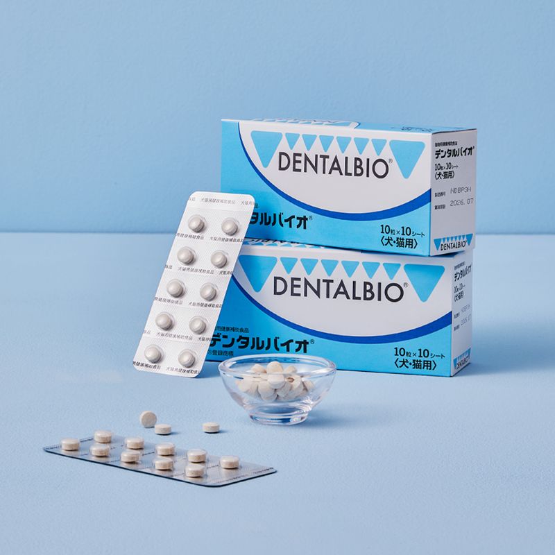 덴탈바이오 이미지. <span id='_stock_code_000250' data-stockcode='000250'>삼천당제약</span> 제공. 