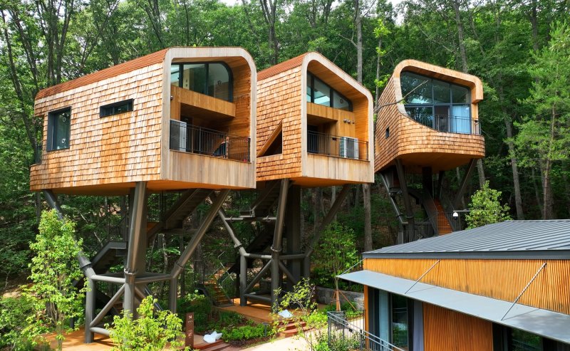 수락휴 트리하우스/사진=노원구 제공, 뉴스1