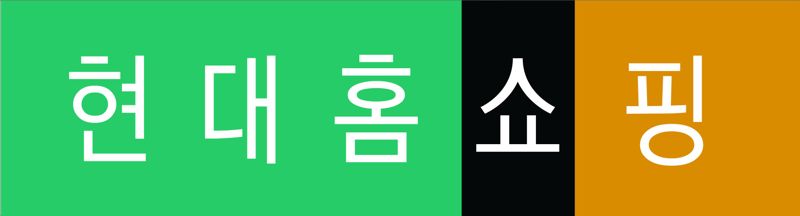 현대홈쇼핑 국문 CI. 현대홈쇼핑 제공