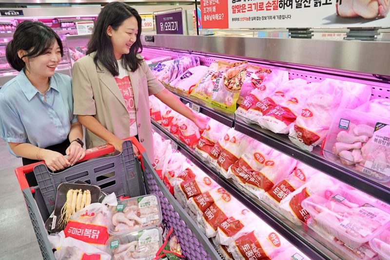 16일 서울의 한 대형마트를 찾은 고객들이 복날 대표 보양식인 삼계탕 재료들을 둘러보고 있다. 롯데마트 제공