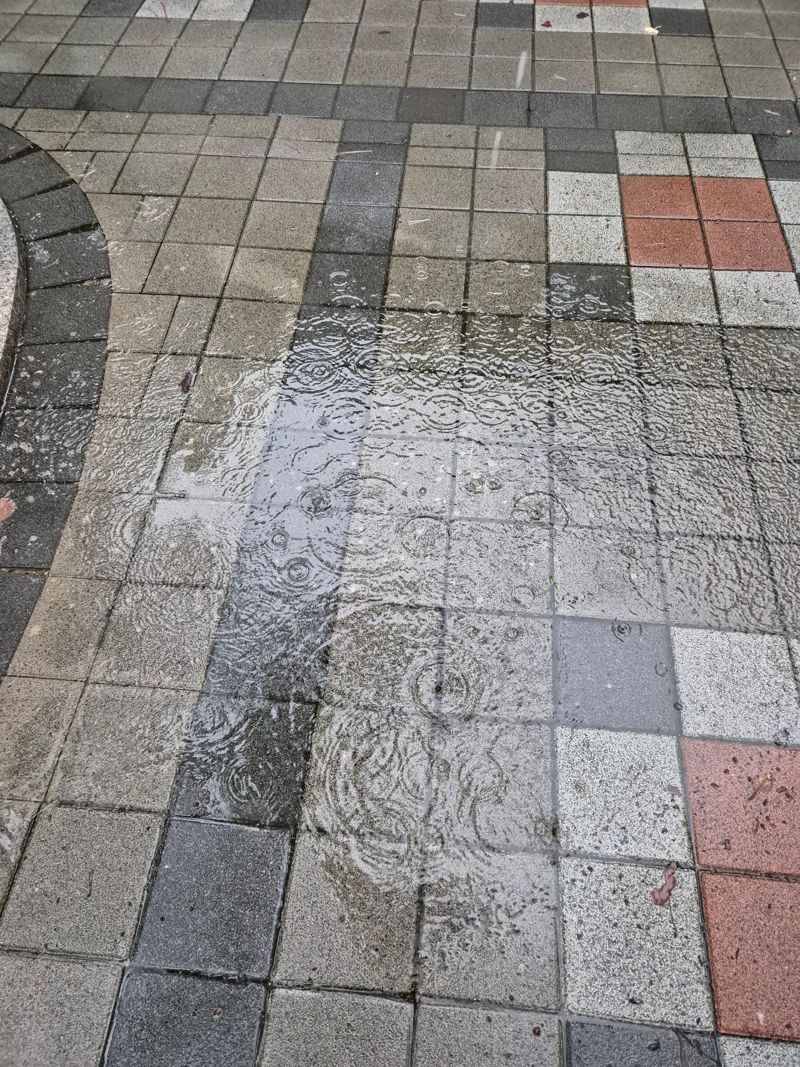 빗물이 고여 웅덩이를 이룬 모습. 사진=김예지 기자